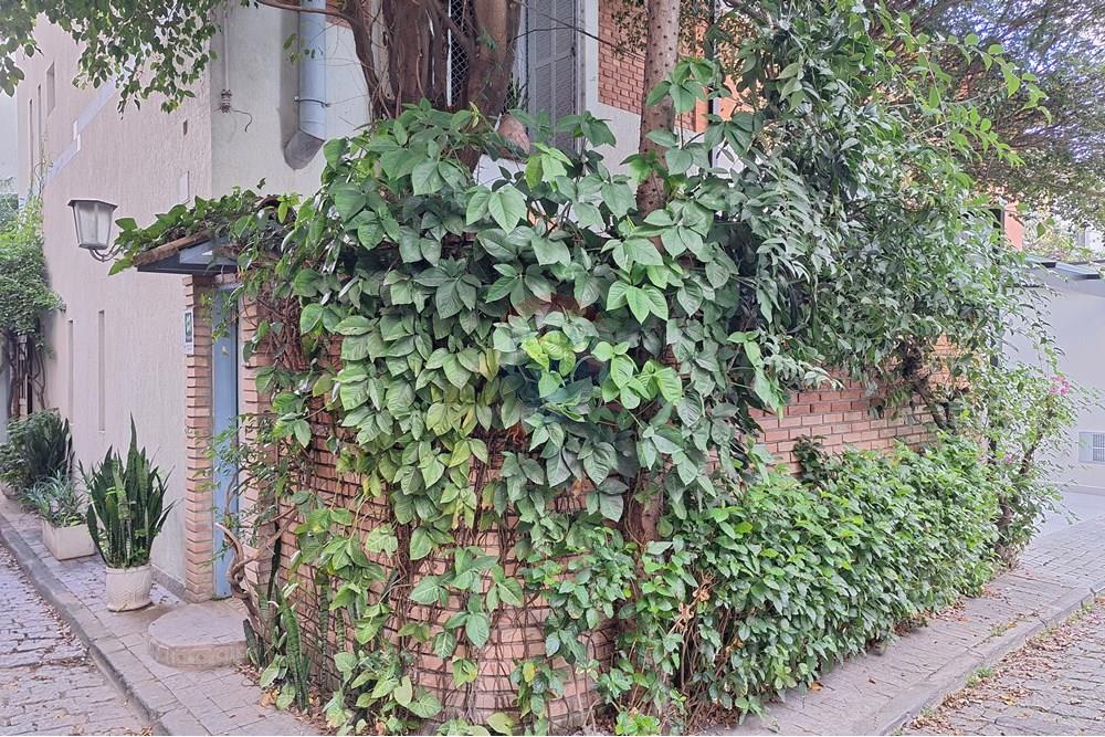 Casa de Vila - Venda - São Paulo , São Paulo - 20250619_161529.jpg - 602271022-160