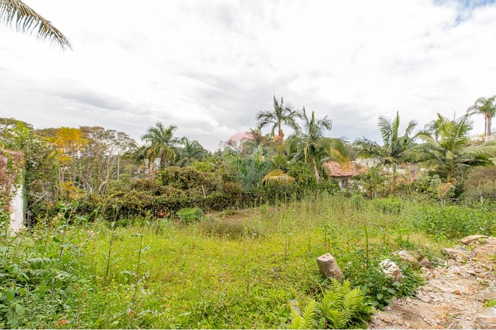 Terreno - Venda - São Paulo , São Paulo - f027d167-98bd-41b8-80b4-1388c6520bd7.jpeg - 601251054-80