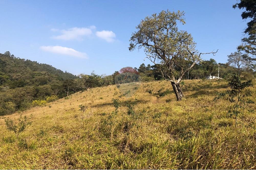 Terreno - Venda - Santana de Parnaíba , São Paulo - IMG_0054.jpg - 601081091-2