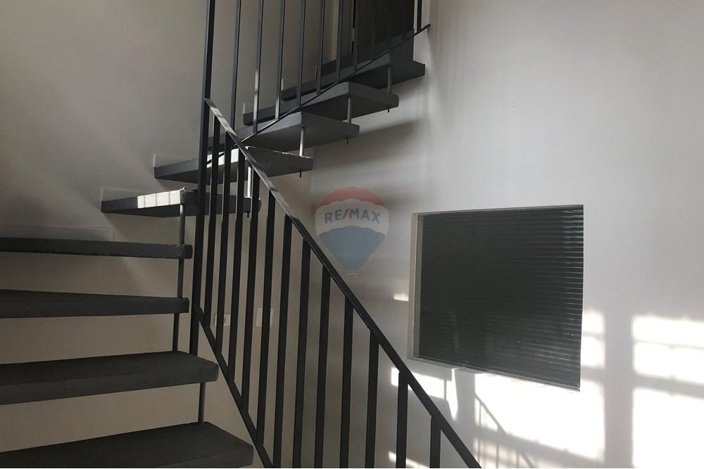 Casa Comercial - Alugar - São Paulo , São Paulo - IMG_6350 - Copia.JPG - 601971078-9