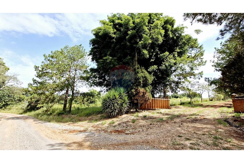 Fazenda - Venda - Itapetininga , São Paulo - SITIO ITAPETININGA (3).jpg - 602301007-5