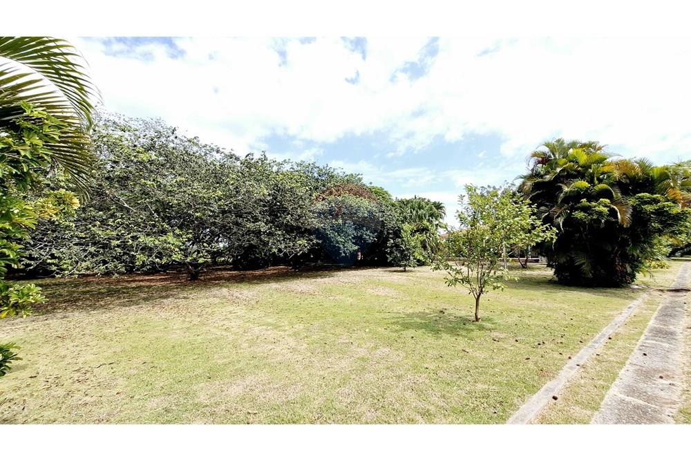 Fazenda - Venda - Itapetininga , São Paulo - SITIO ITAPETININGA (85).jpg - 602301007-5