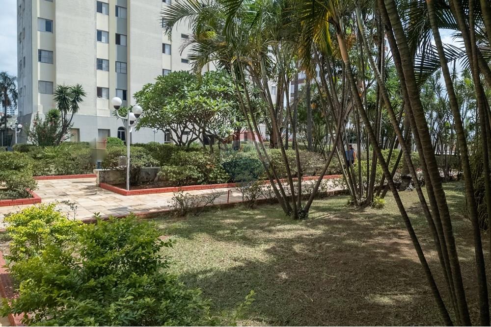 Cobertura - Alugar - São Paulo , São Paulo - 65_Área comum.jpg - 601471041-21