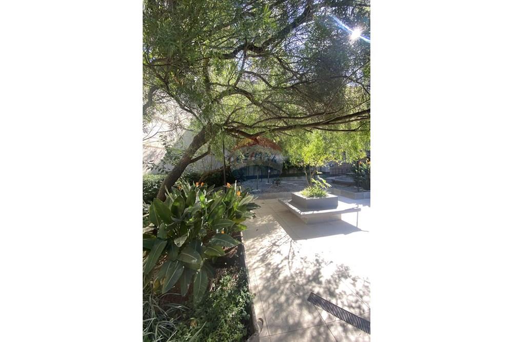 Cobertura - Alugar - São Paulo , São Paulo - IMG-7271.jpg - 602321022-13