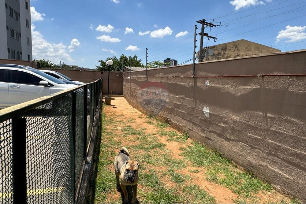 Apartamento - Venda - São Paulo , São Paulo - Foto 82 - DJI_20251025_113803_247 - 251025 - ID 60131075-9.jpg - 601301079-14