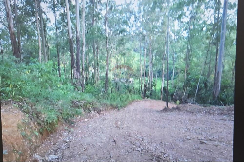 Terreno - Venda - São Paulo , São Paulo - 12f83a64-4e97-41d1-a6df-a16e1f448b36.jpeg - 601171010-41