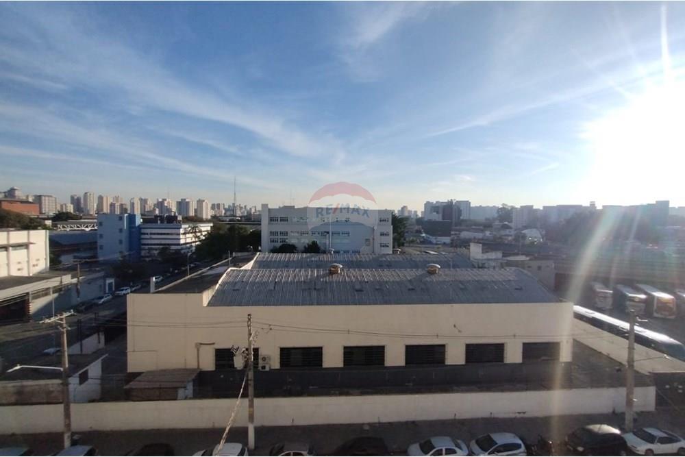 Apartamento - Alugar - São Paulo , São Paulo - WhatsApp Image 2025-08-25 at 12.03.59.jpeg - 602361012-84