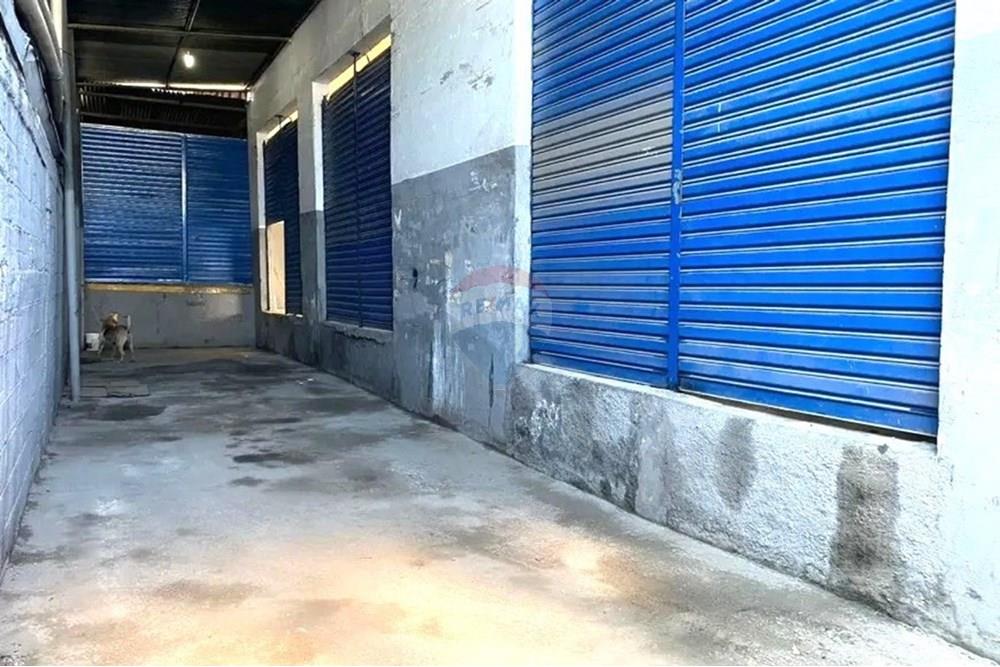 Galpão - Alugar - São Paulo , São Paulo - 19.jpeg - 602291016-309