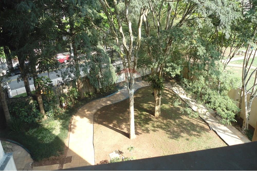 Apartamento - Alugar - São Paulo , São Paulo - DSC05937.JPG - 602071018-42