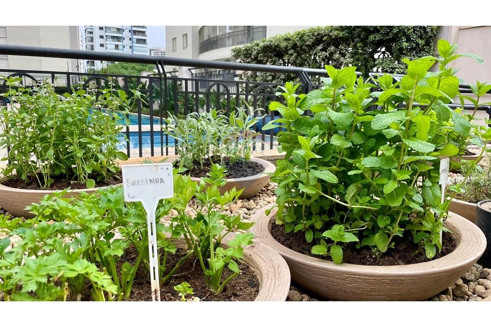 Apartamento - Alugar - São Paulo , São Paulo - IMG_4134.JPEG - 602241008-25