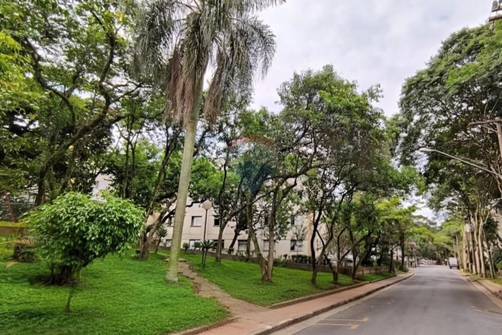 Apartamento - Alugar - São Paulo , São Paulo - WhatsApp Image 2025-09-15 at 10.00.10 (1).jpeg - 602161004-148