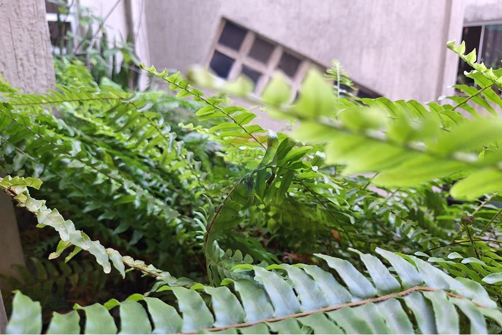 Apartamento - Venda - São Paulo , São Paulo - 20250716_145306.jpg - 602271022-162