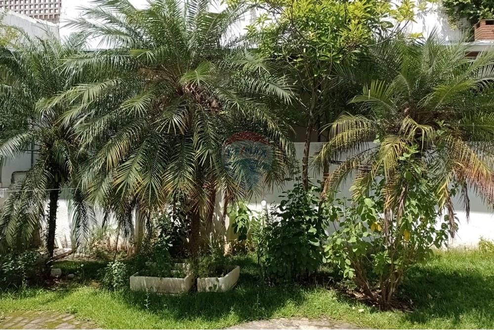 Prédio - Alugar - São Paulo , São Paulo - 233d166c-88e0-4123-95f9-42553fbd2767.jpeg - 602261011-31