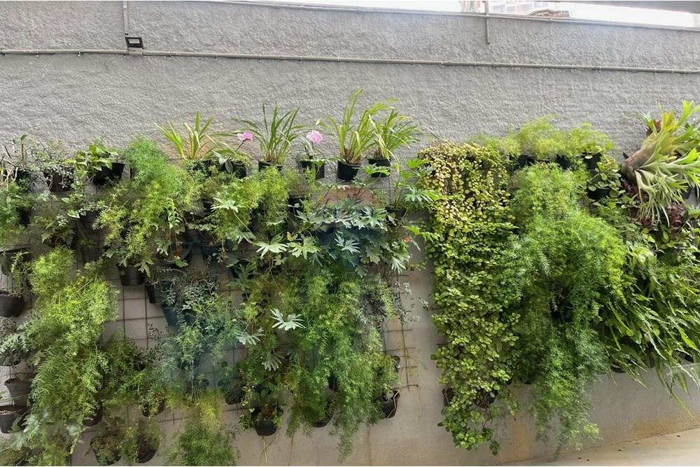 Apartamento - Venda - São Paulo , São Paulo - IMG_0631.jpg - Jardim Interno - 601081089-12