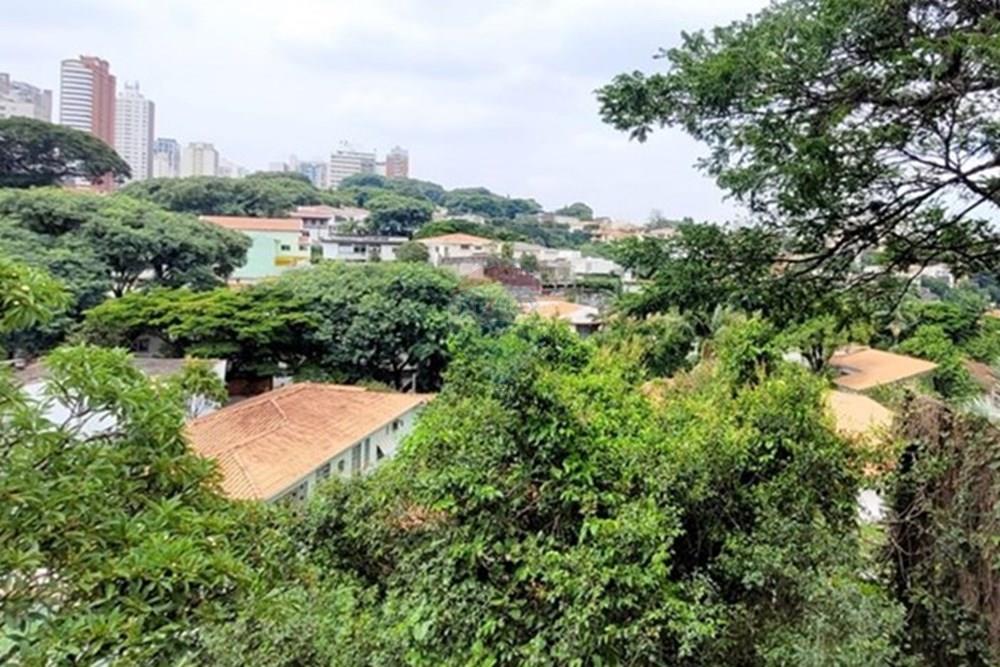 Casa Comercial - Alugar - São Paulo , São Paulo - WhatsApp Image 2025-09-25 at 16.45.38.jpeg - 602101050-70