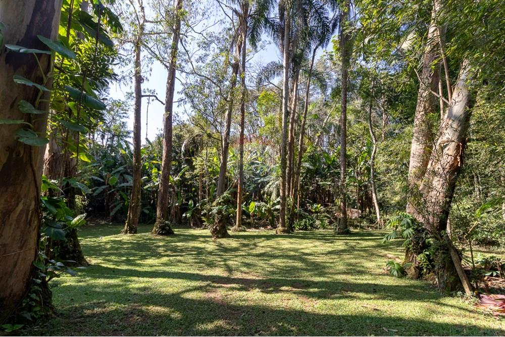 Chácara / Sítio / Fazenda - Venda - São Paulo , São Paulo - cffa4aac-99cc-4ab1-b1f4-950a5b4e20f2.jpeg - 601251044-66