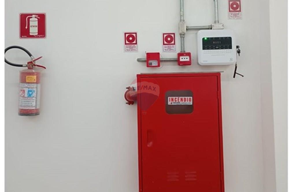 Galpão - Alugar - São Paulo , São Paulo - 9.jpg - 602291021-233