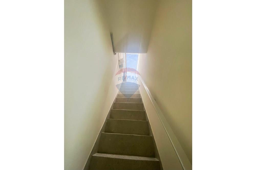 Casa Comercial - Alugar - São Paulo , São Paulo - WhatsApp Image 2025-08-27 at 10.04.02.jpeg - 601451035-3