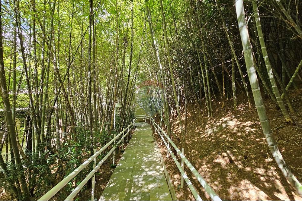 Apartamento - Venda - São Paulo , São Paulo - 20250113_152539.jpg - 601971076-23