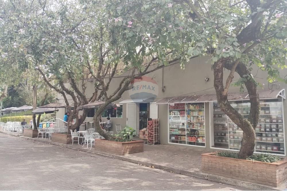 Apartamento - Alugar - São Paulo , São Paulo - WhatsApp Image 2025-10-03 at 09.57.46 - Copia.jpeg - 602331017-102