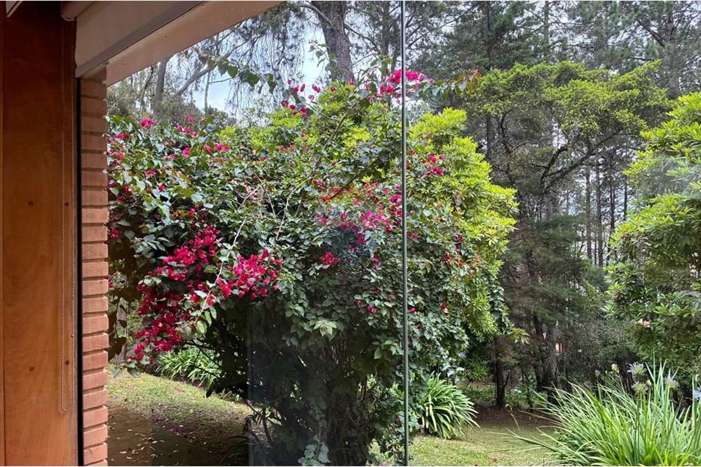 Chácara, 6 quartos, 7 hectares - Foto 41