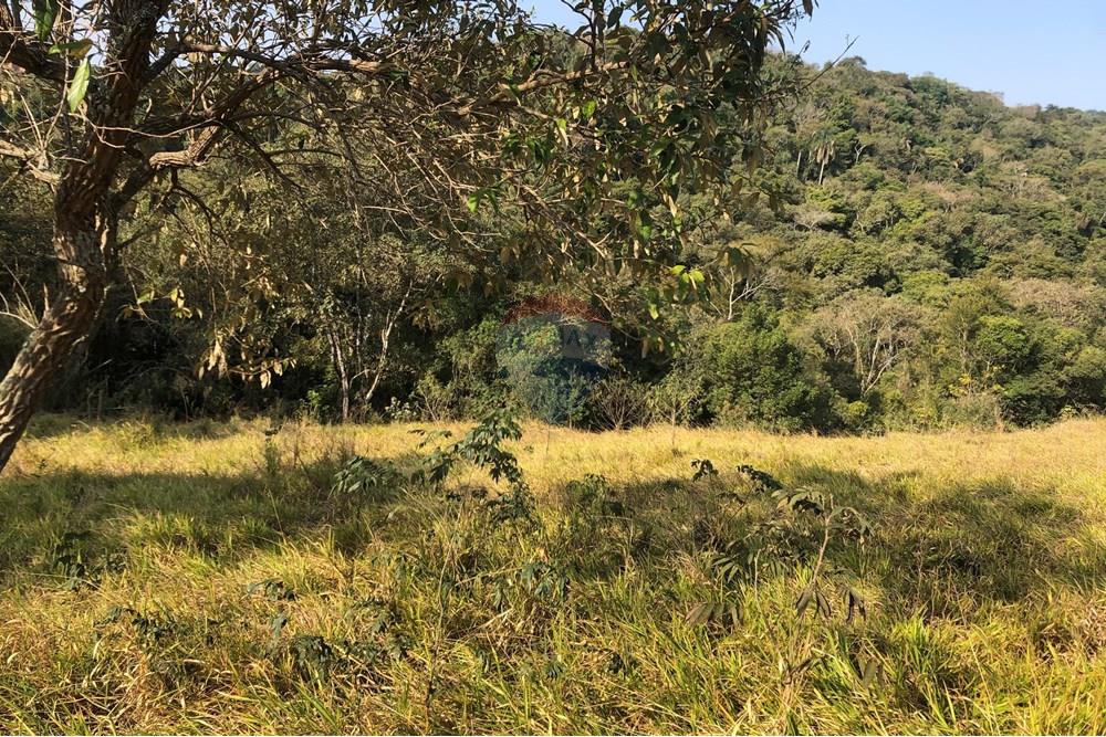 Terreno - Venda - Santana de Parnaíba , São Paulo - IMG_0056.jpg - 601081091-2