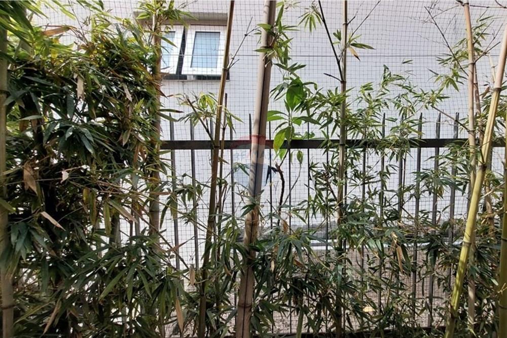 Casa - Alugar - São Paulo , São Paulo - WhatsApp Image 2025-10-03 at 09.28.36.jpeg - 602151006-81