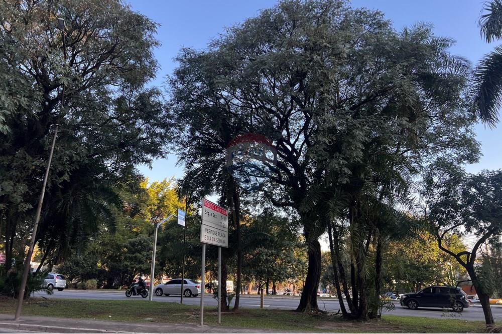 Apartamento - Alugar - São Paulo , São Paulo - IMG_5382.JPG - 601361051-16