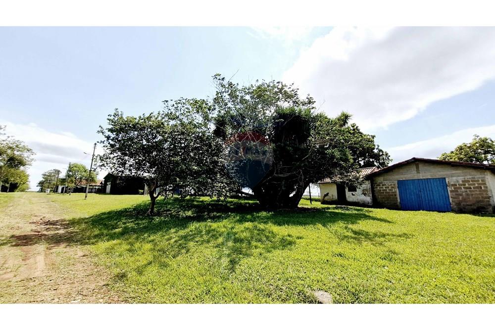 Fazenda - Venda - Itapetininga , São Paulo - SITIO ITAPETININGA (108).jpg - 602301007-5