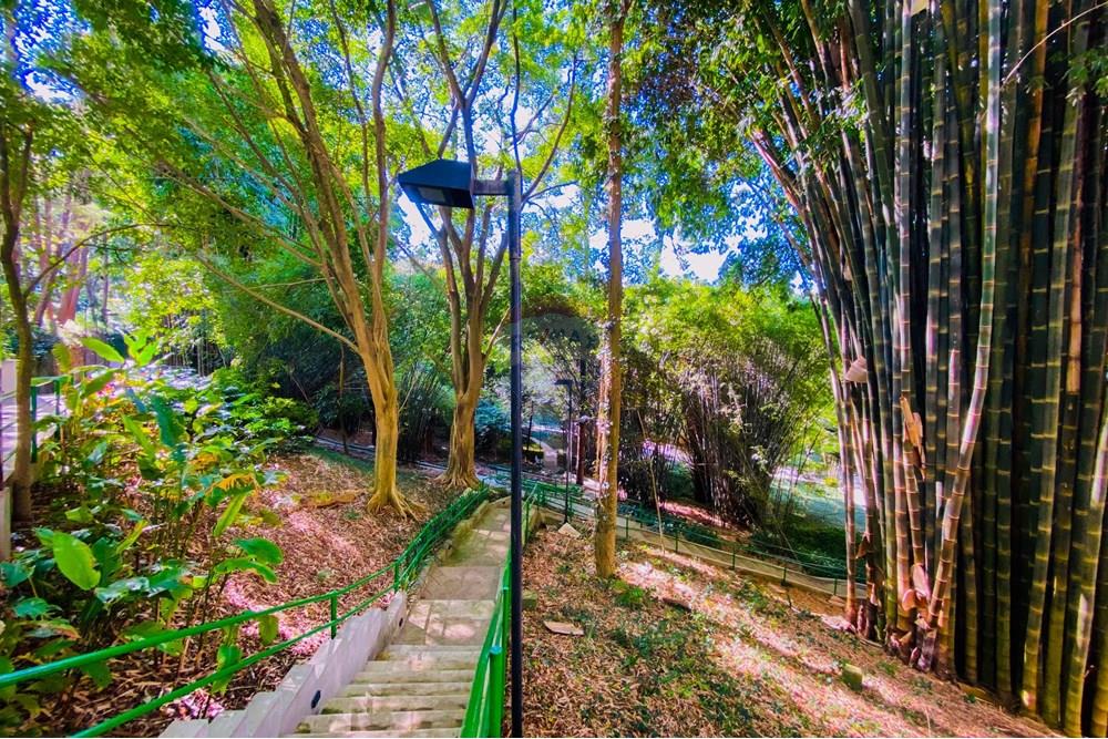 Cobertura - Venda - São Paulo , São Paulo - IMG_9268.jpg - 602361011-52