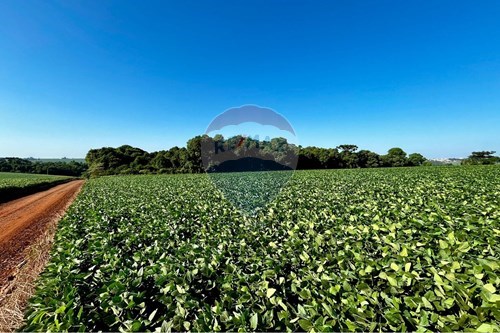 Venda-Chácara / Sítio / Fazenda-Interior , 0  - Colonia Vargas  - Centro , Não-Me-Toque , Rio Grande do Sul , 99470000-610271058-70
