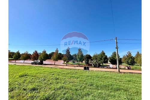 Venda-Terreno-Condomínio Morada da Lagoa , 32  - Centro , Lagoa dos Três Cantos , Rio Grande do Sul , 99495000-610271058-105