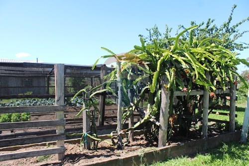 Slider Image Thumbnail