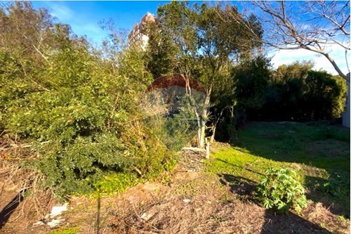 Venda-Terreno-Rua Adão Couto , lote 02  - WORD CAR  - Centro , Guaíba , Rio Grande do Sul , 92704660-612781019-16