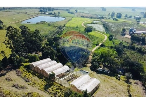 Venda-Chácara / Sítio / Fazenda-Centro , Guaíba , Rio Grande do Sul , 92729180-612781004-35