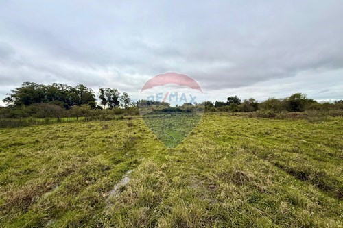 Venda-Chácara / Sítio / Fazenda-Centro , São Gabriel , Rio Grande do Sul , 97313154-612631045-18