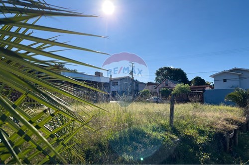 Venda-Terreno-Maximiliano de Almeida , s/n  - Oliveira , Lagoa Vermelha , Rio Grande do Sul , 95300000-610111005-240