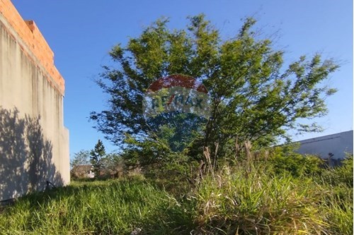 Venda-Terreno-RUA ITAPEMA , 7  - São José , Canoas , Rio Grande do Sul , 92425-722-610241023-66