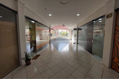 Alugar-Cj. Comercial/ Sala-Centro , Passo Fundo , Rio Grande do Sul , 99025083-610271045-1340