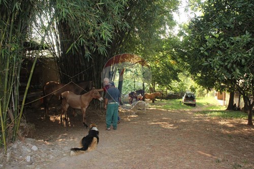 Slider Image Thumbnail