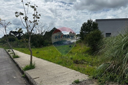 Venda-Terreno-Rua Heitor Martins , 307  - LOTEAMENTO  FÁTIMA  - Santa Marta , Bento Gonçalves , Rio Grande do Sul , 95702-382-610331038-43