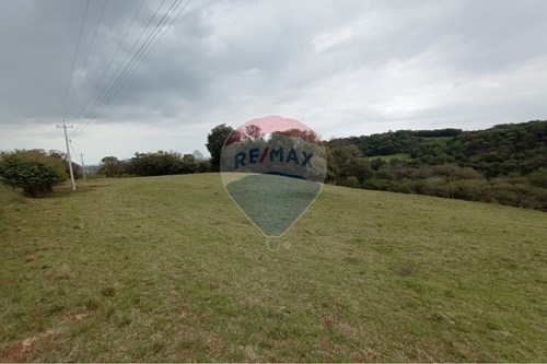 Venda-Chácara / Sítio / Fazenda-Centro , Sarandi , Rio Grande do Sul , 99560000-610341020-14