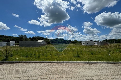 Venda-Terreno-Rua A , Lote 16  - Residencial Don Antônio  - Centro , Sarandi , Rio Grande do Sul , 99560000-610341006-335