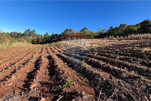 Venda-Chácara / Sítio / Fazenda-Sâo Martinho , 1  - Linha Santa Cruz , Santa Cruz do Sul , Rio Grande do Sul , 96855000-612741028-54