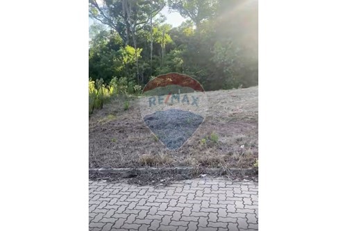 Venda-Terreno-Rua Barão do Arroio Grande , 1964  - Mercado Litasa  - Aliança , Santa Cruz do Sul , Rio Grande do Sul , 96833-002-612741023-7