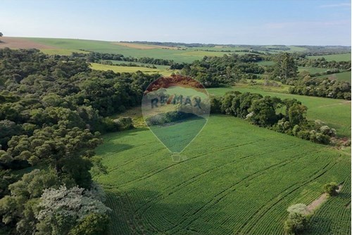 Venda-Chácara / Sítio / Fazenda-Centro , Nonoai , Rio Grande do Sul , 99600000-610231004-83