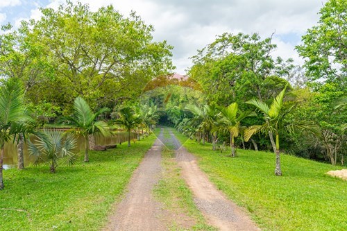 Venda-Terreno-Loteamento Rural Palermo , Gravataí , Rio Grande do Sul , 94360000-610161057-39