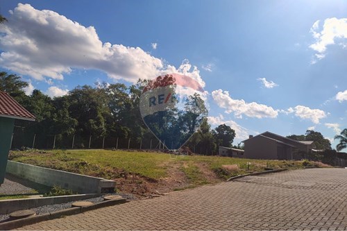 Venda-Terreno-Rua Mario Luiz Masutti , 420  - São Roque  - São Roque , Bento Gonçalves , Rio Grande do Sul , 95708-550-610331038-14
