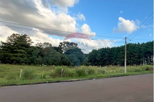 Venda-Terreno-Rua Fagundes Varella , SN  - Próximo Cond. Santo Cristo  - Alto Pedregal , Lagoa Vermelha , Rio Grande do Sul , 95300000-610111005-110