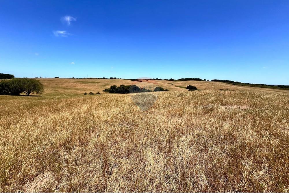 Chácara - Venda - Lavras do Sul , Rio Grande do Sul - WhatsApp Image 2025-01-13 at 23.08.13.jpeg - 612631031-7